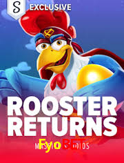 Experiência VIP Fyobet